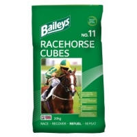 No.11 Racehorse Cubes