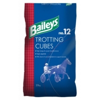 No.12 Trotting Cubes