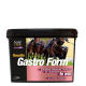 Gastro Form 10KG