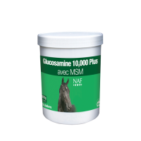 Glucosamine 10 000 Plus avec MSM