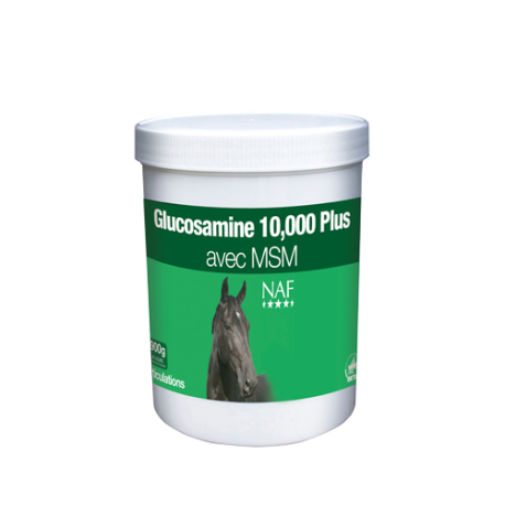 Glucosamine 10 000 Plus avec MSM